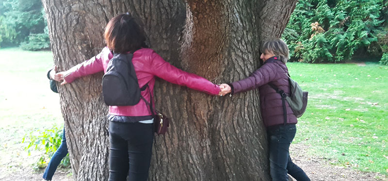 Femmes entourant un arbre lors d'une visite Le plein des sens